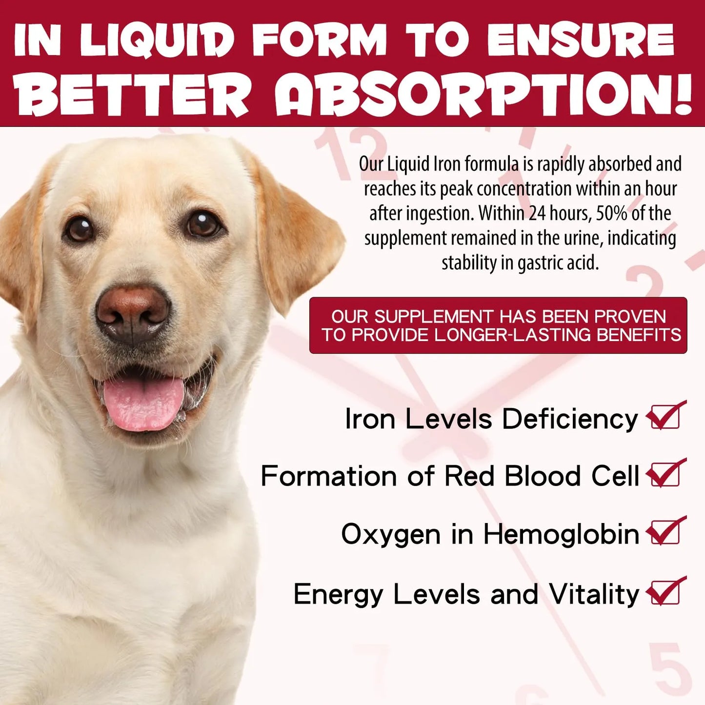 Hierro Líquido Para Perros Con Folato Y B12 Combate Anemia Y Aumenta Energía