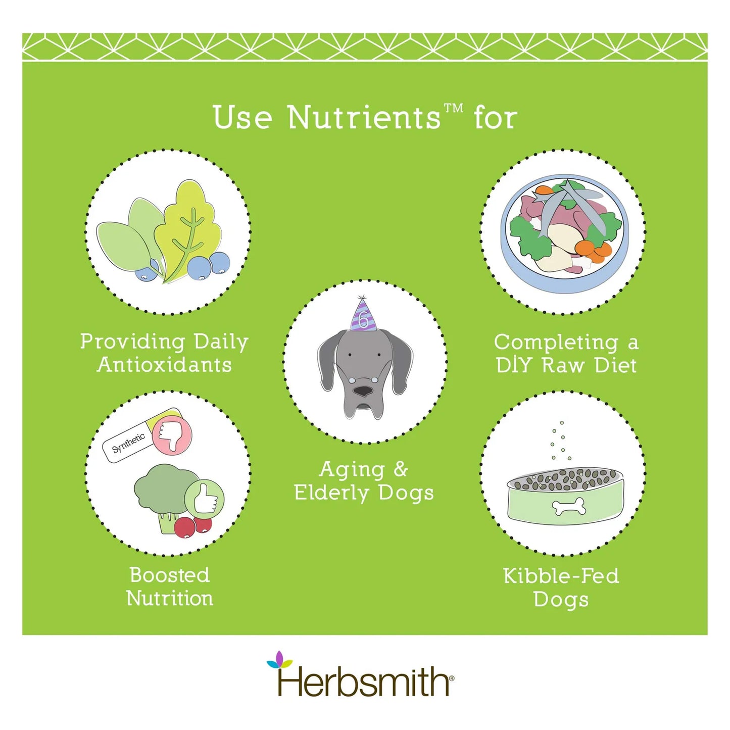 Fórmula Nutritiva 83 Gramos Pequeña Para Mascotas Suplemento Vitaminas Y Minerales