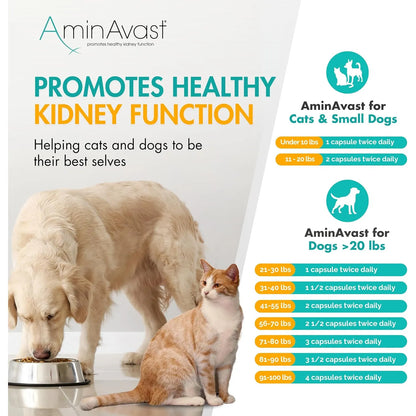 AminAvast Suplemento Renal Para Perros 1000 Mg Paquete 2 Unidades Apoya Funcion Renal Natural