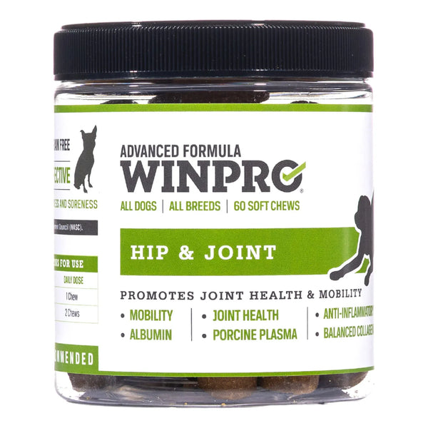 Masticables Para Perros Salud Articulaciones Colageno Importado Eeuu Alivio Dolor Movilidad