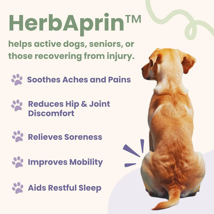 Alivio Natural Para Perros Mezcla Hierbas Organicas Artritis Dolores Articulares