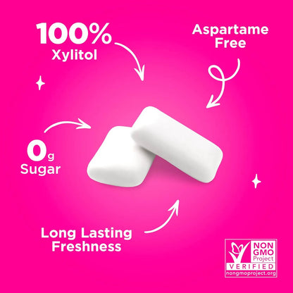 Chicles Pur 100 Xilitol Veganos Sin Azucar 55 Unidades Surtidas