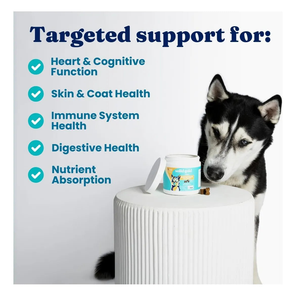 Multivitaminico Masticable Para Perros Con Vitaminas C A B12 E Probióticos