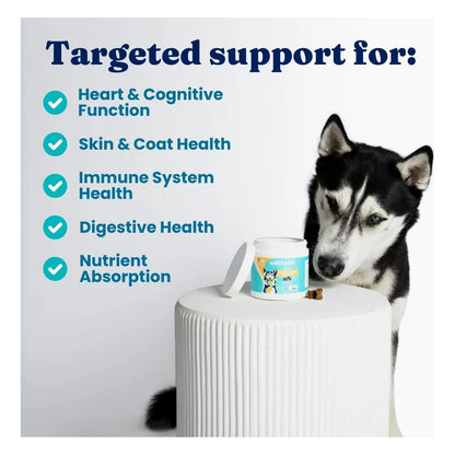 Multivitaminico Masticable Para Perros Con Vitaminas C A B12 E Probióticos