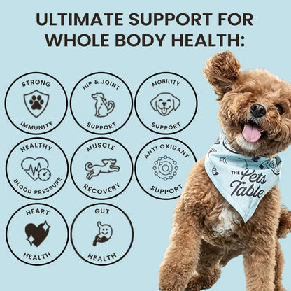 Mezcla Multivitaminica De Pollo 8 En 1 Para Perros Apoyo Articular E Inmunologico