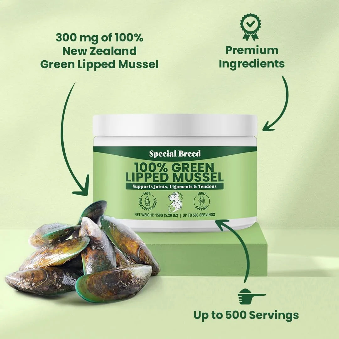 Mejillones De Labios Verdes En Polvo Para Perros Y Gatos Apo Nutricion Premium