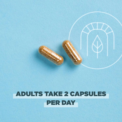 Cápsulas SuperVeggies Orgánicas Para Salud Intestinal Y Sistema Inmunológico Ancient Nutrition