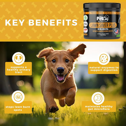 Neutralizador De Orina De Perro Para Césped Masticables Suaves Pet Chef Lawn Saver Plus Protege Tu Jardín Naturalmente
