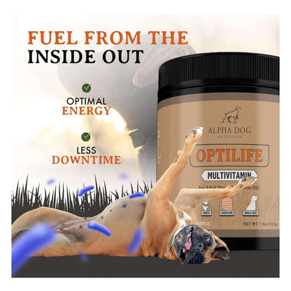 Multivitamínico En Polvo Para Perros Adultos Con Probióticos OptiLife