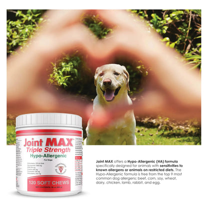 Masticables Hipoalergénicos Para Perros Con Glucosamina Condroitina Y MSM Triple Strength