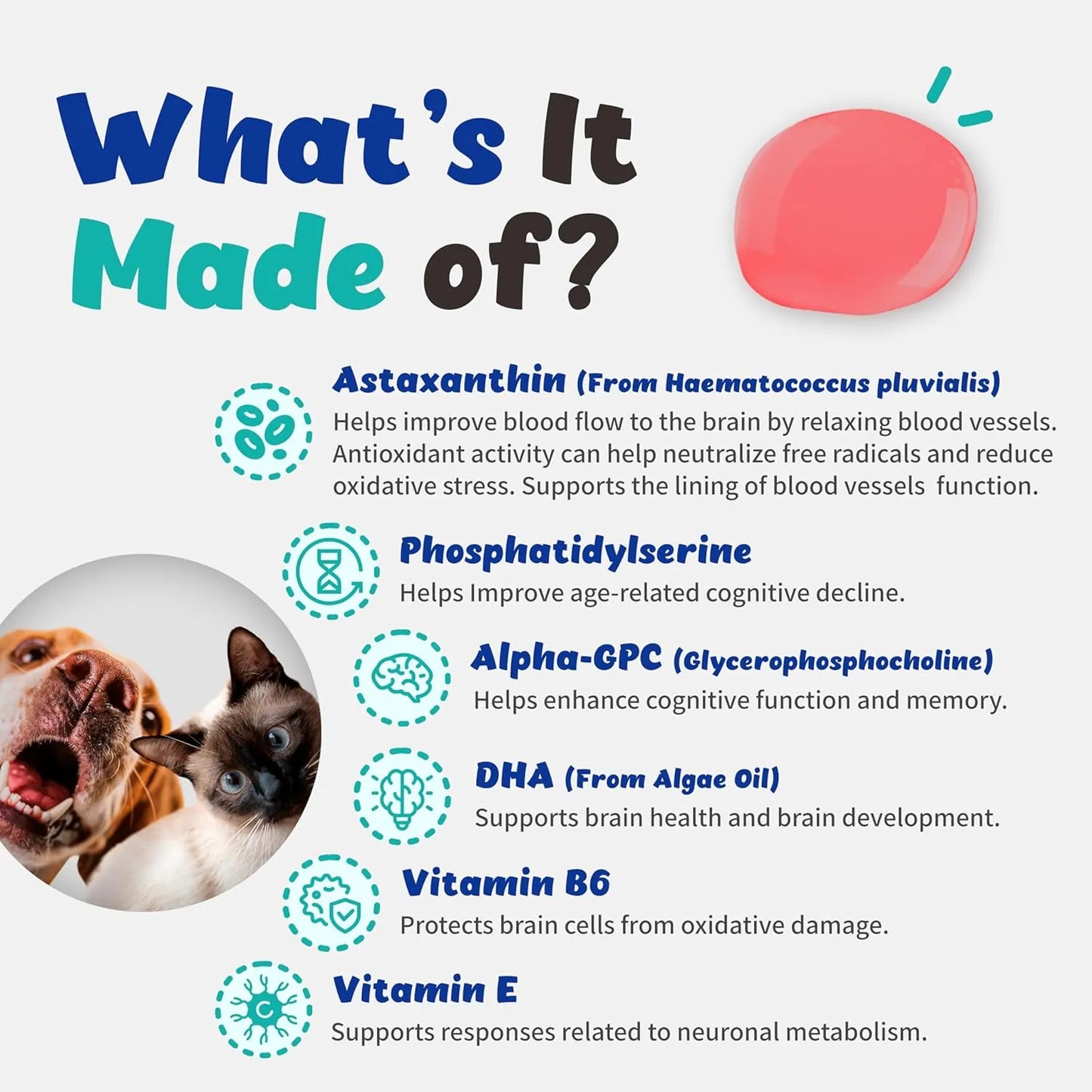Apoyo Cognitivo Liquido Para Perros Y Gatos Con Astaxantina Mejora Memoria Y Vitalidad