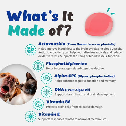 Apoyo Cognitivo Liquido Para Perros Y Gatos Con Astaxantina Mejora Memoria Y Vitalidad