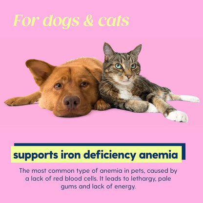 Aminopets Hierro Liquido Para Perros Y Gatos Combate Anemia Y Aumenta Energia