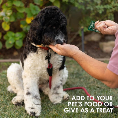 Delicias Verdes Superalimento Para Perros Y Gatos Clorofila Energía Y Salud