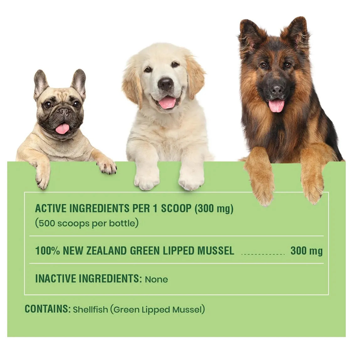 Suplemento Articular Premium Mejillones Labios Verdes En Polvo Para Perros Y Gatos 150g