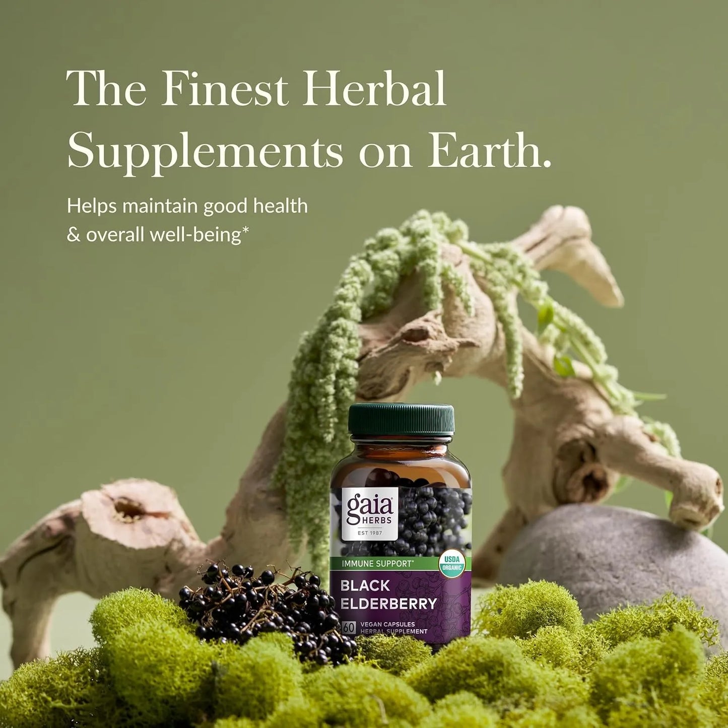 Fitocápsulas Líquidas De Baya De Saúco Negro Gaia Herbs 60 Unidades Apoyo Inmunológico