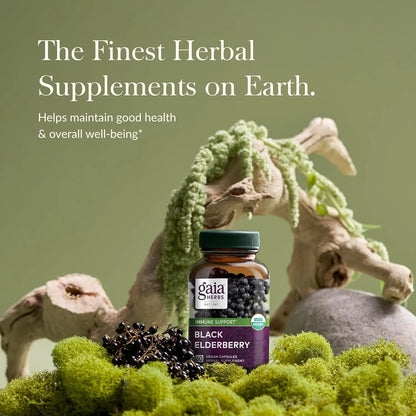 Fitocápsulas Líquidas De Baya De Saúco Negro Gaia Herbs 60 Unidades Apoyo Inmunológico