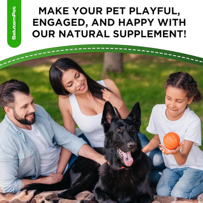 Probióticos Líquidos Para Perros Con Prebióticos Y Enzimas Digestivas 2 Onzas