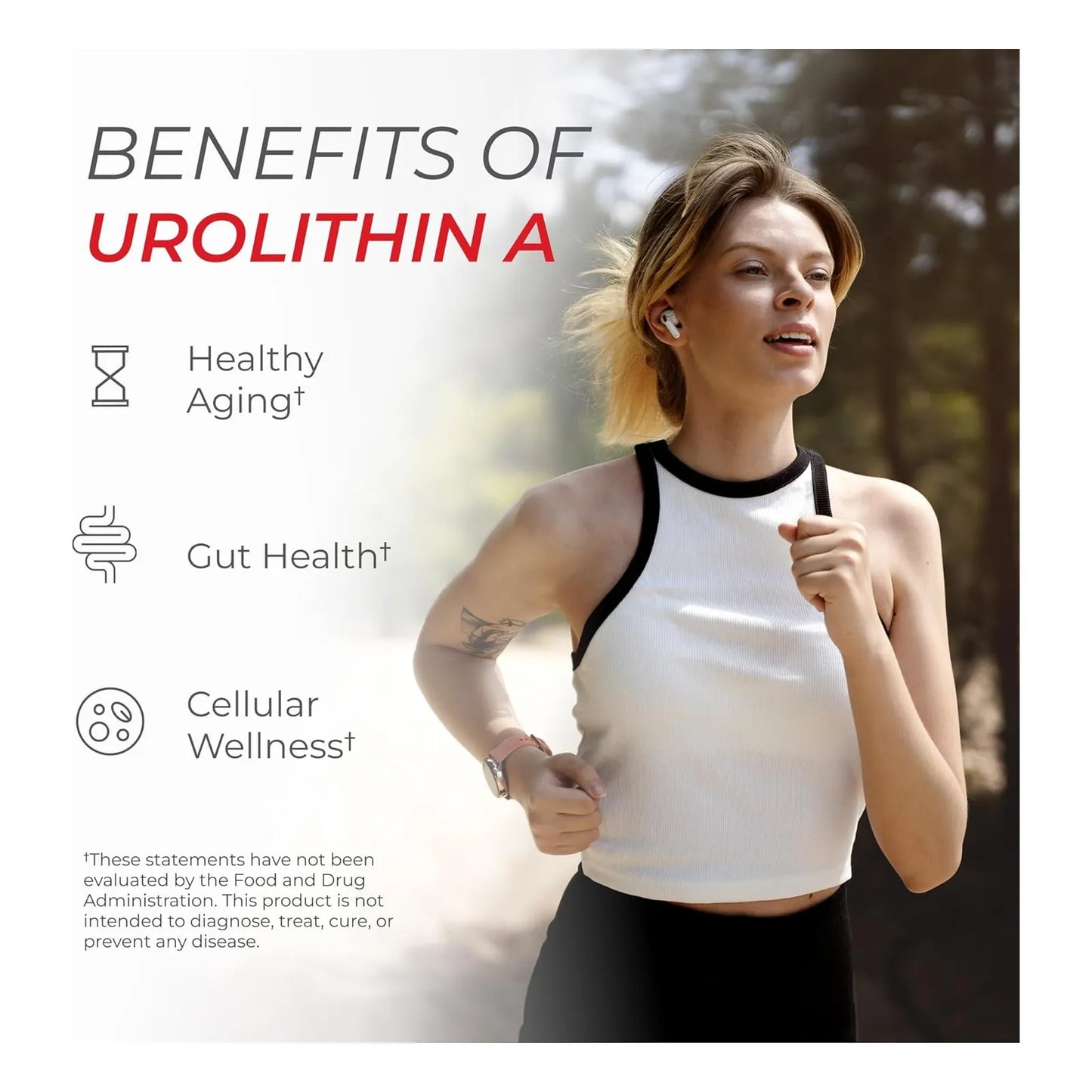 Capsulas De Urolitina A 1000 Mg 120 Unidades Salud Celular Y Energia Neurogan