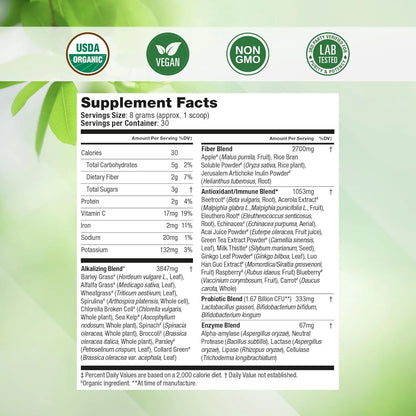 Super Greens Polvo Superfood 20 Ingredientes Organicos Vegano Energia Y Digestión