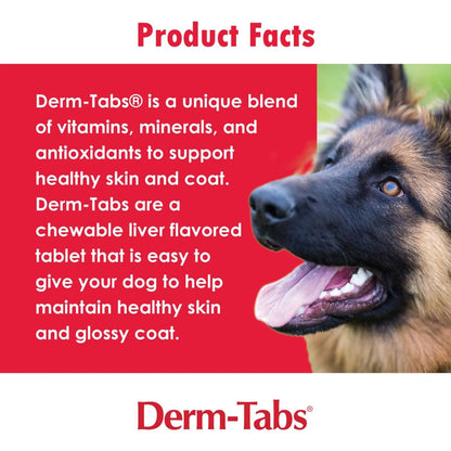 Tabletas Masticables Derm Tabs Para Piel Y Pelaje Canino 120 Unidades