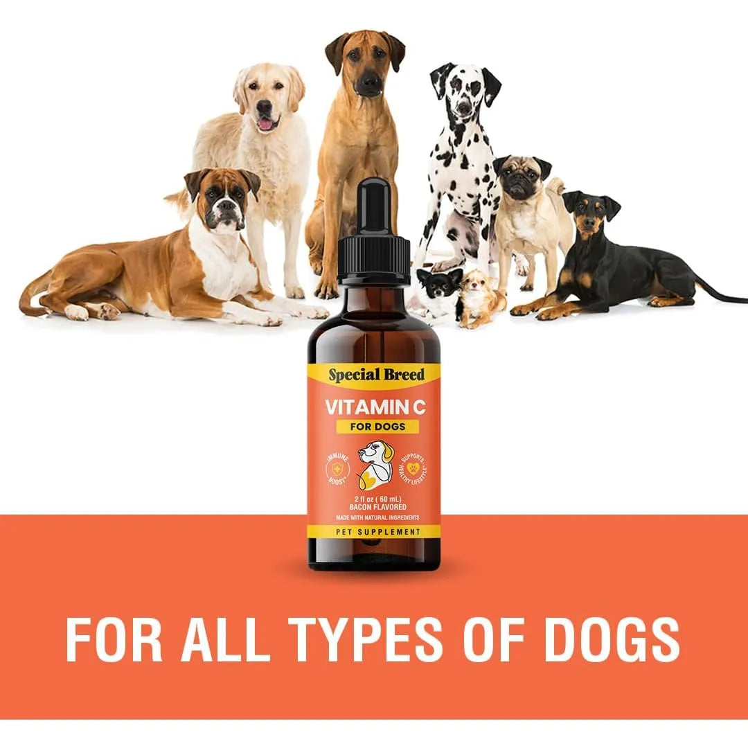 Vitamina C Liquida Para Perros Sabor Tocino Refuerzo Inmunologico 2 Onzas