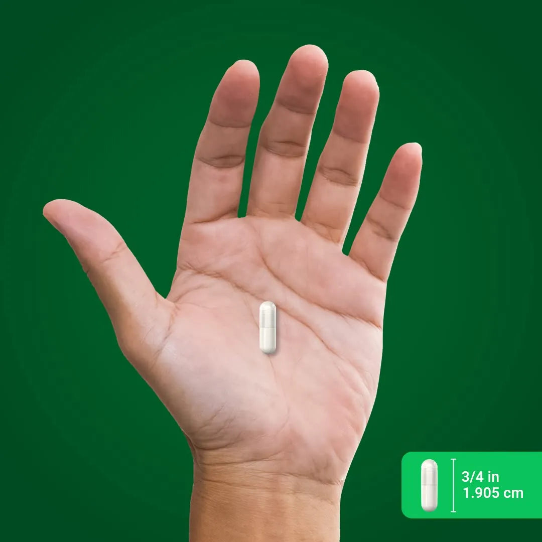 L Treonato De Magnesio 2000 Mg Con Magteina 90 Capsulas Suplemento Avanzado