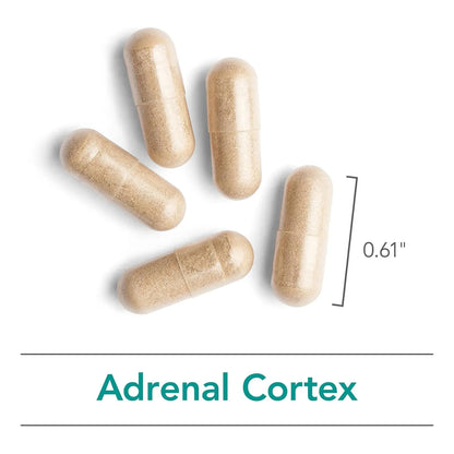 Extracto Bovino Liofilizado Apoyo Suprarrenal 100 Mg 100 Cápsulas Energía Y Defensas