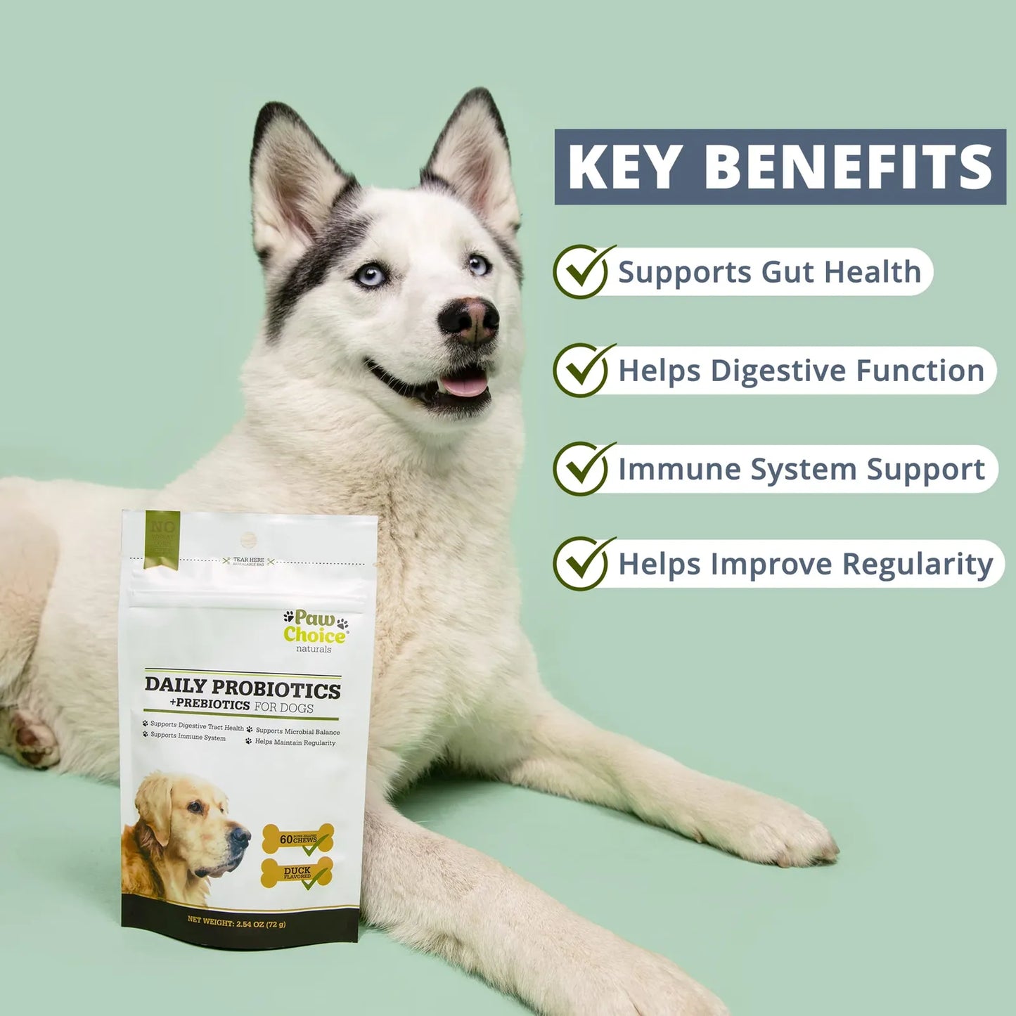 Masticables Probióticos Para Perros Con Prebióticos Salud Intestinal Y Digestión