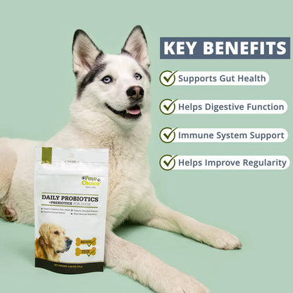 Masticables Probióticos Para Perros Con Prebióticos Salud Intestinal Y Digestión