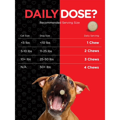 Multivitaminas Masticables Para Perros Y Gatos 120 Tabletas River Rula