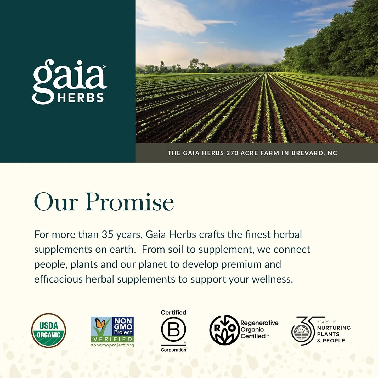Albahaca Sagrada 60 Fito Capsulas Liquidas Apoyo Al Estrés Gaia Herbs
