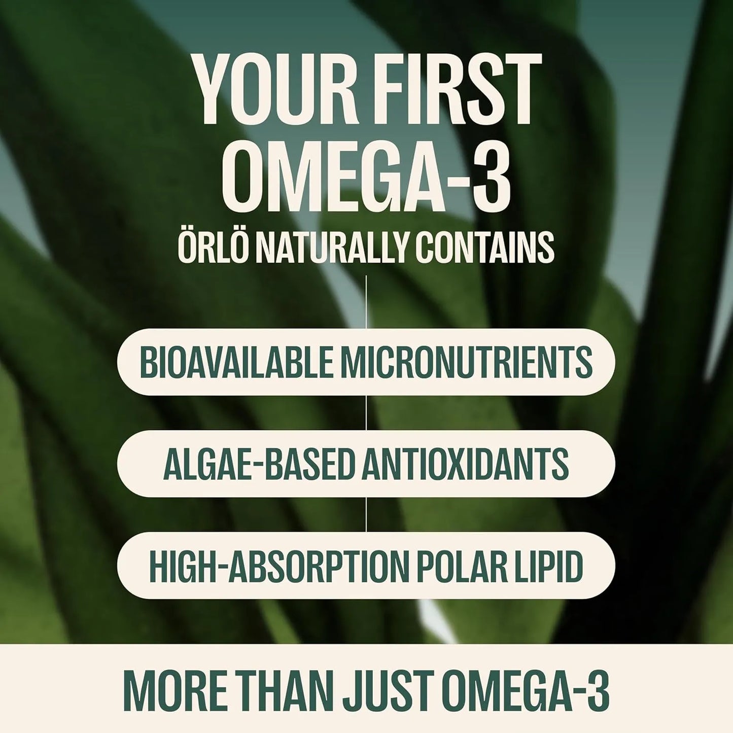 Aceite De Algas Omega 3 Dha Prenatal Orlo 60 Capsulas Mini Vegano