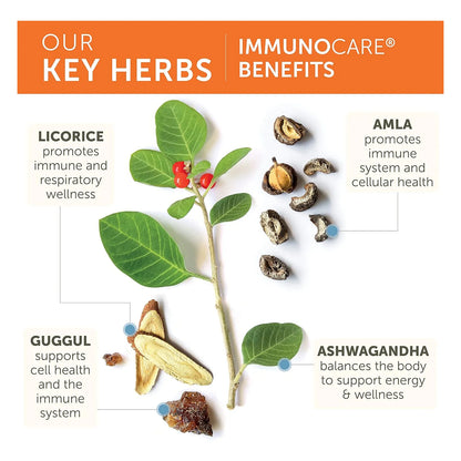 Cápsulas Himalaya Immunocare 840 Mg Apoyo Inmunológico 120 Unidades