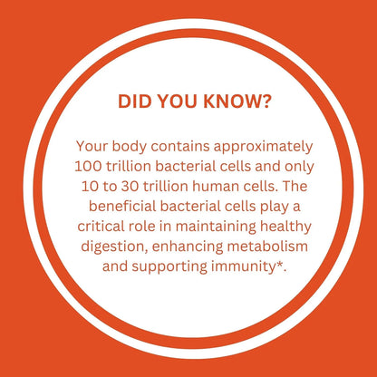 Mezcla De Probióticos Y Prebióticos 120g Salud Intestinal 15 Mil Millones UFC Sin Refrigerar