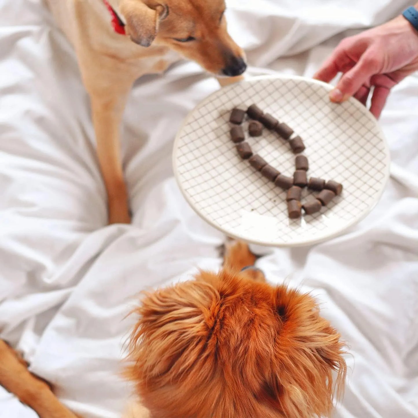 Golosinas Suaves De Aceite De Krill Para Perros Con Omega 3 120 Unidades
