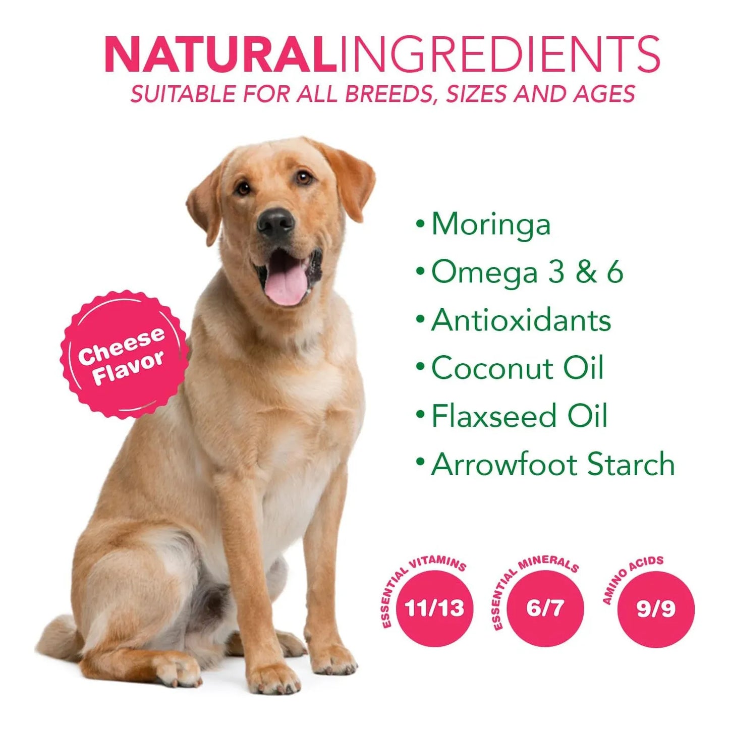 Golosinas Superalimento 6 En 1 Para Perros Con Moringa Orgánica Refuerzo Inmunológico Y Multivitamínico