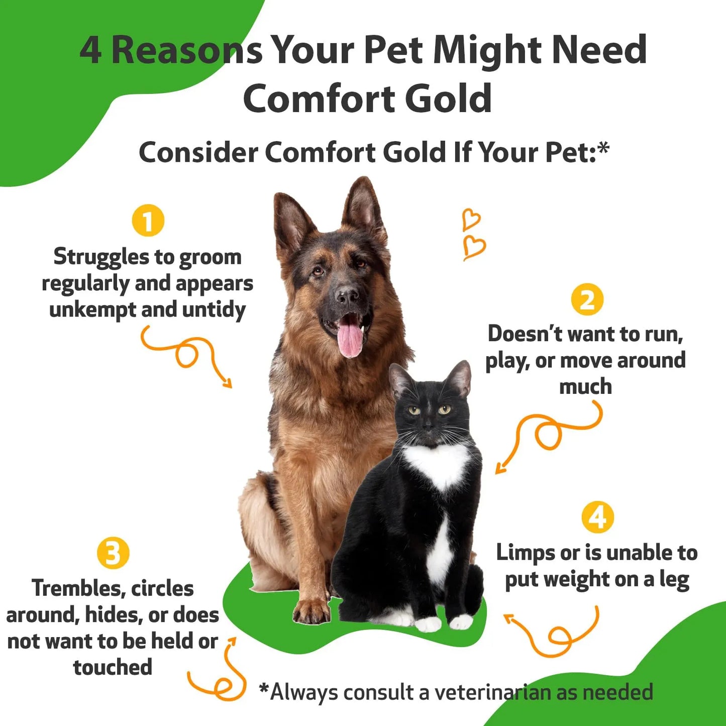 Comfort Gold Suplemento Natural Para Perros Y Gatos Alivia Malestar Y Ansiedad