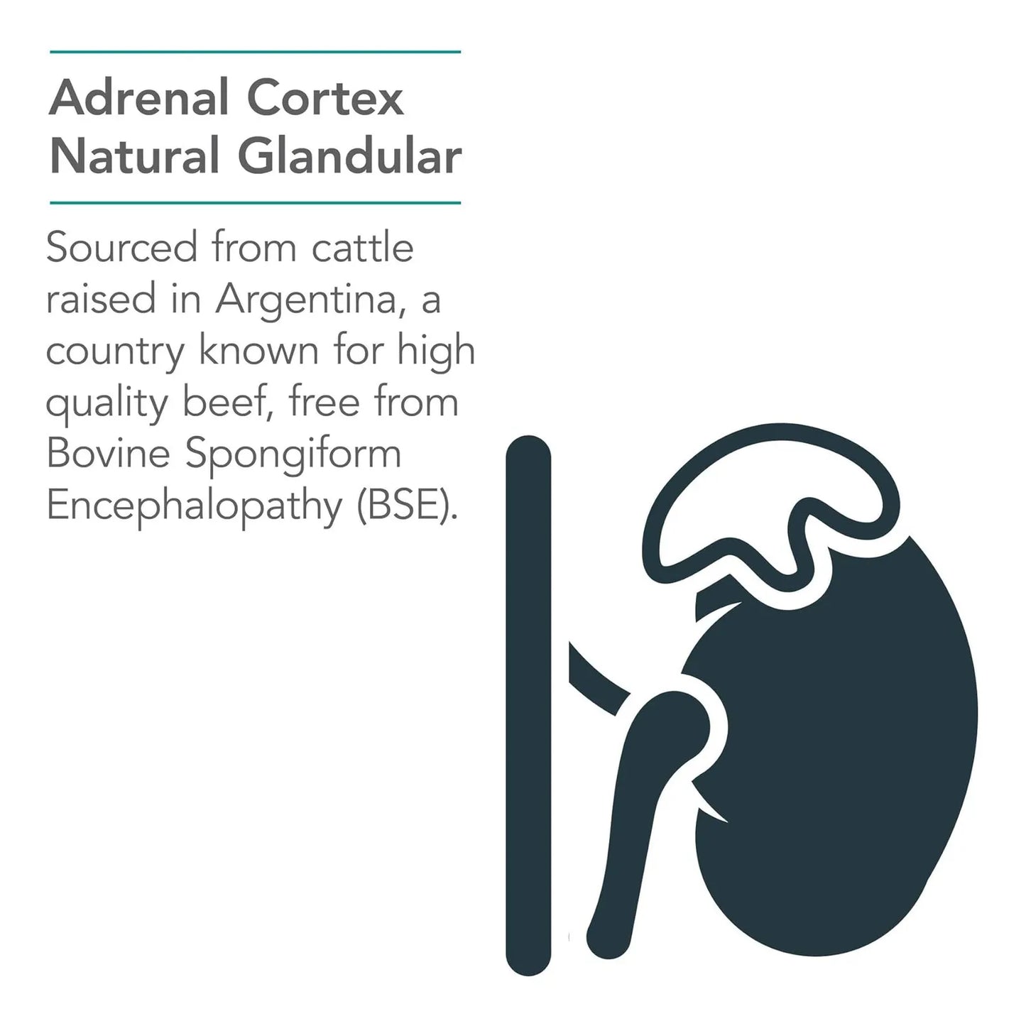 Extracto Bovino Liofilizado Apoyo Suprarrenal 100 Mg 100 Cápsulas Energía Y Defensas