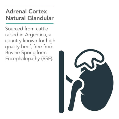 Extracto Bovino Liofilizado Apoyo Suprarrenal 100 Mg 100 Cápsulas Energía Y Defensas