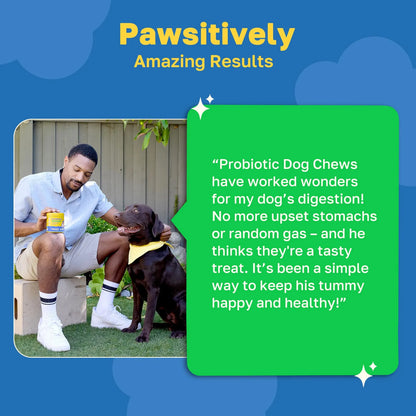 Masticables Probióticos Para Perros Salud Intestinal Sabor Pollo Vegano