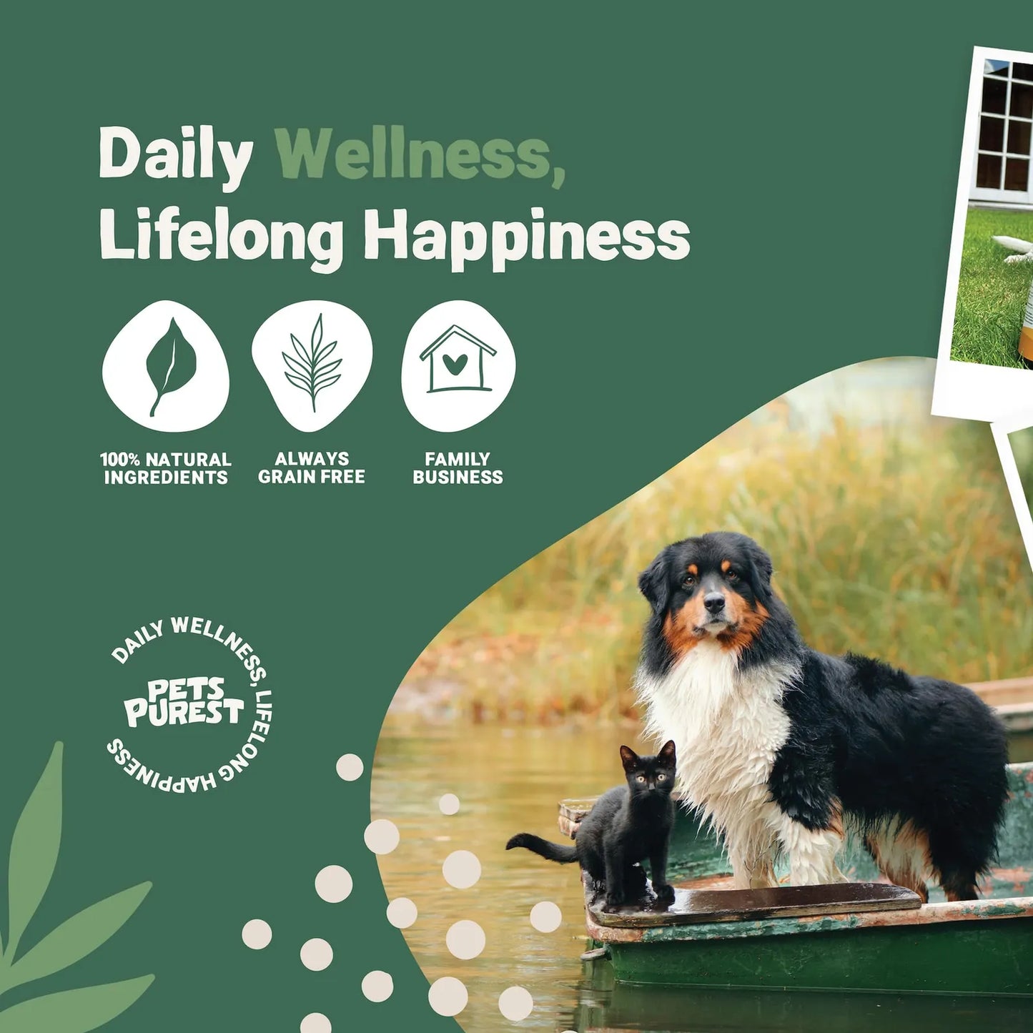 Aceite Natural De Salmón Para Mascotas 32 Onzas 100% Puro Om
