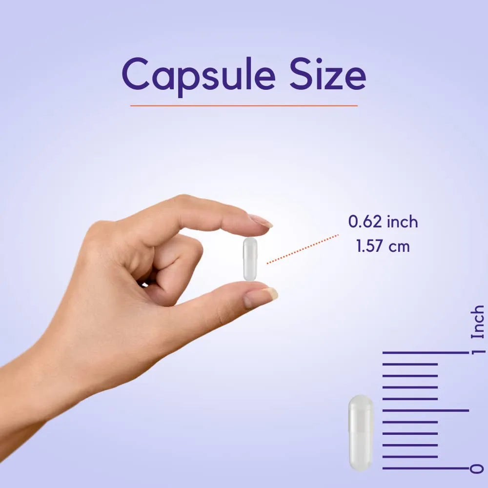 Ginkgo Biloba 120 Mg 240 Capsulas Estandarizado 24 Flavone Glucosidos Puro Sin Gluten