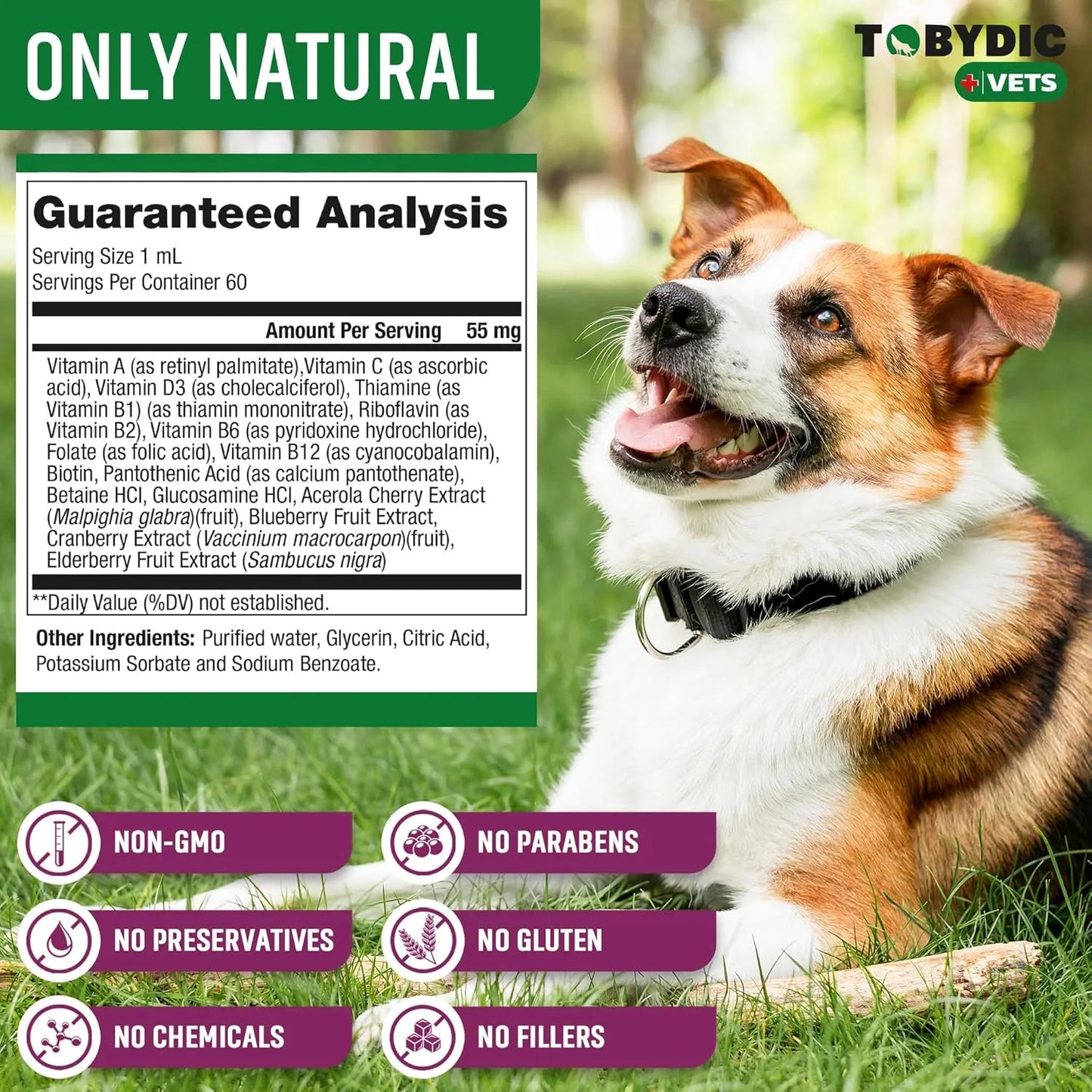 Multivitamínico 15 En 1 Para Gatos Y Perros Con Arándano Y Glucosamina Importado USA