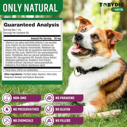 Multivitamínico 15 En 1 Para Gatos Y Perros Con Arándano Y Glucosamina Importado USA