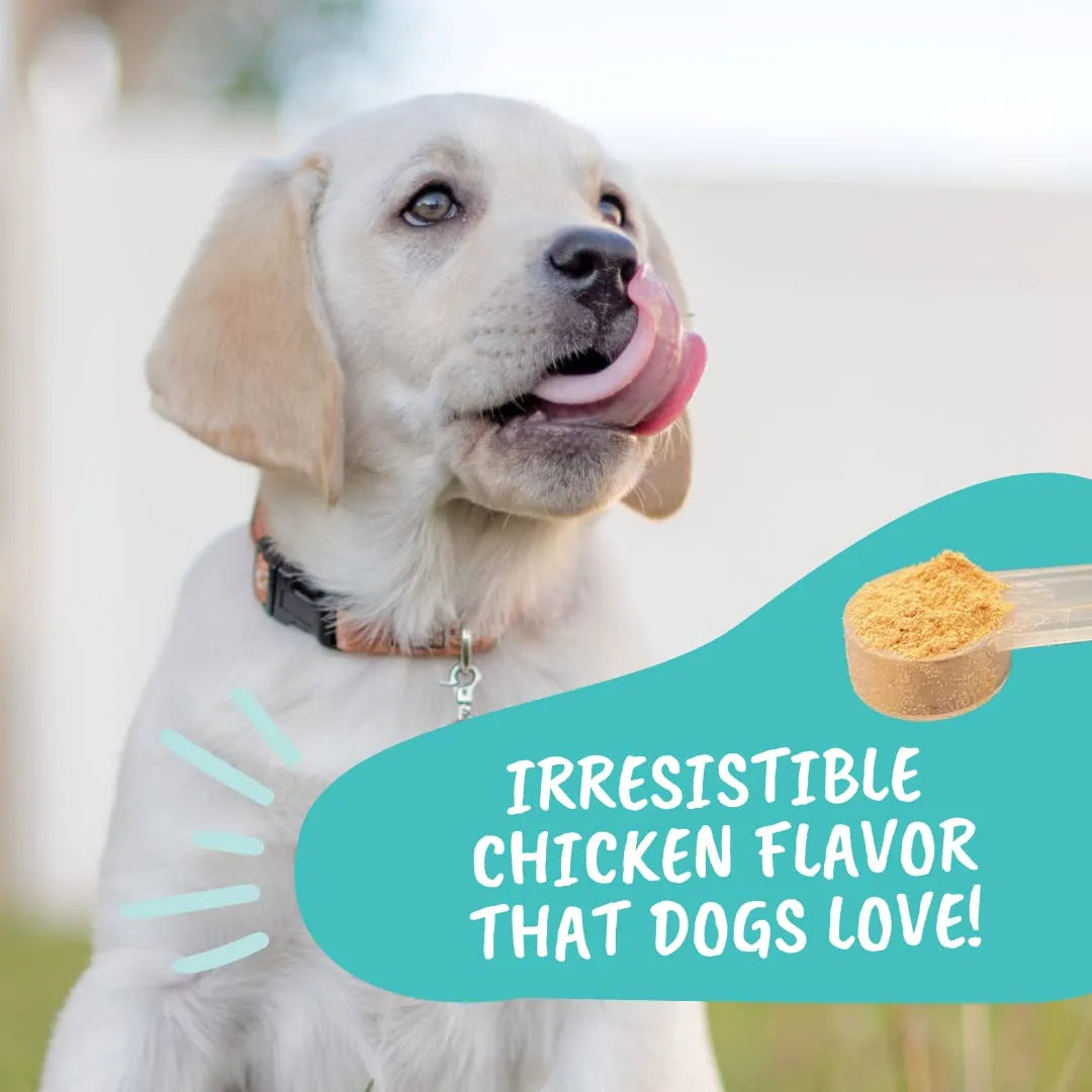 Polvo Probiótico Para Perros Formulado Por Veterinarios Digestión Saludable Y Sabor Pollo