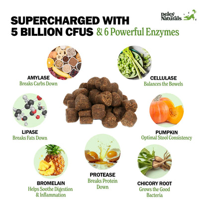 Chicles Probióticos Para Perros Salud Intestinal 5 Mil Millones De UFC Con Sabor A Calabaza