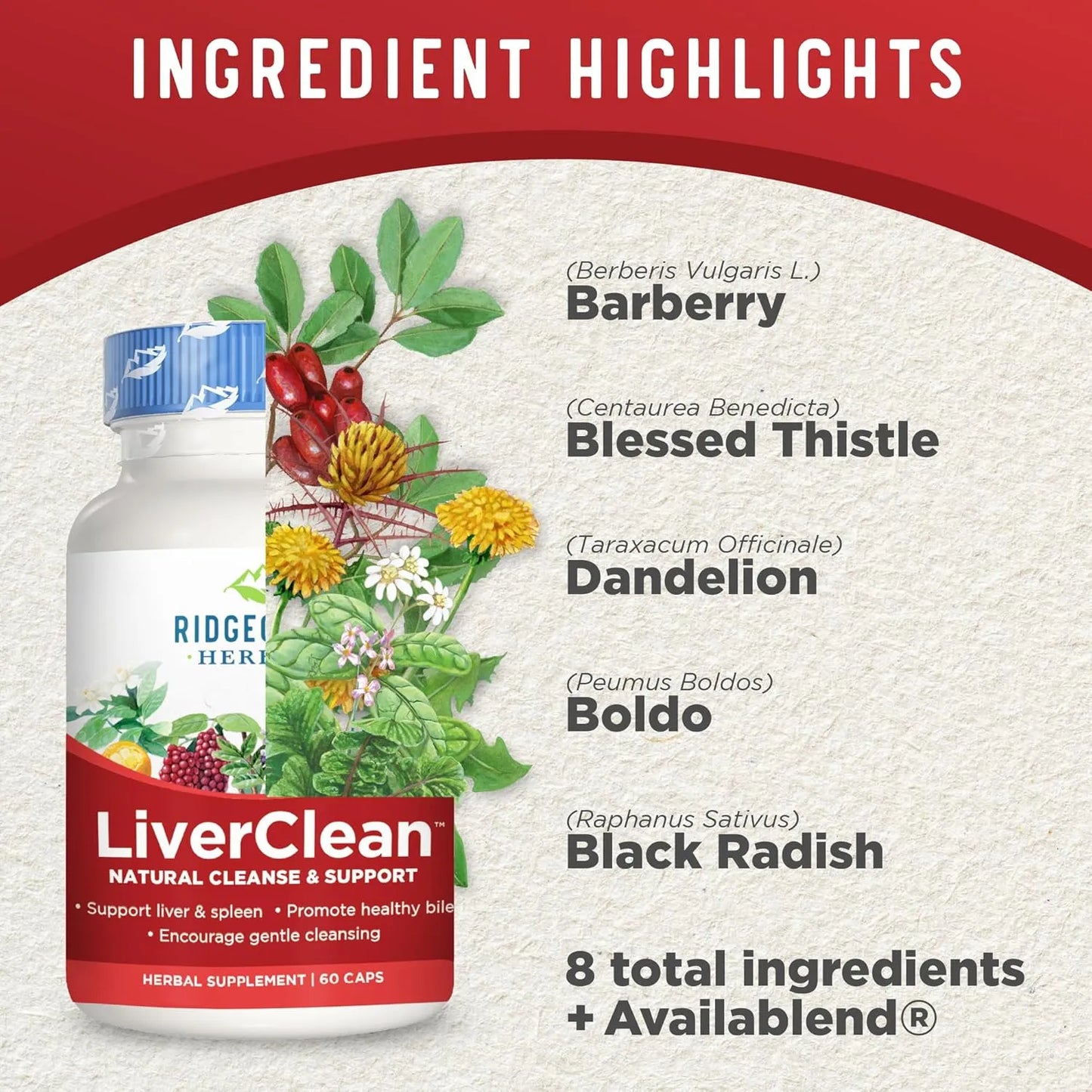 LiverClean Suplemento Hepatico Cardo Bendito Diente De Leon 60 Capsulas