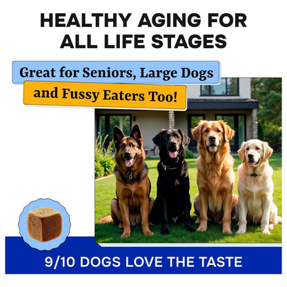 Vitaminas Masticables Con Glucosamina Y Probióticos Para Perros Salud Articular Piel Y Digestión