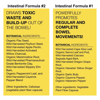 Dr Schulze Intestinal Formula 2 Líquido 240ml Y Cápsulas 1 90 Unidades Limpieza Digestiva